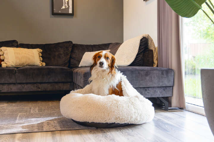 beeztees Hundebett Yala